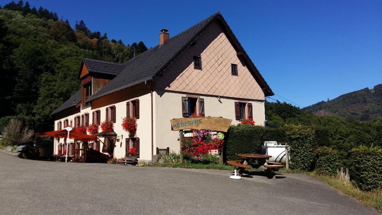 Hôtel Kebespre à Lapoutroie Extérieur photo